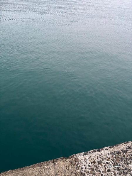 タチウオ 良型釣れた