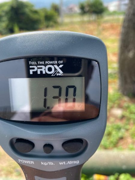 久しぶりの投稿！