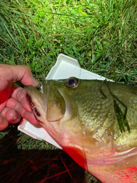 ロングワームでグッドサイズ！