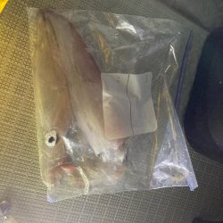 剣先、渋いけど大剣多い？