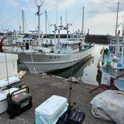 イカメタル2回目