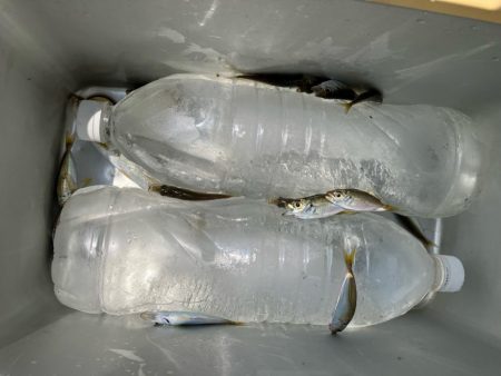 小浜新港ガラガラということは…