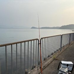 丹後宮津へキス釣りに行ってきました