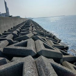 チャリコ爆湧き釣りにならず!!