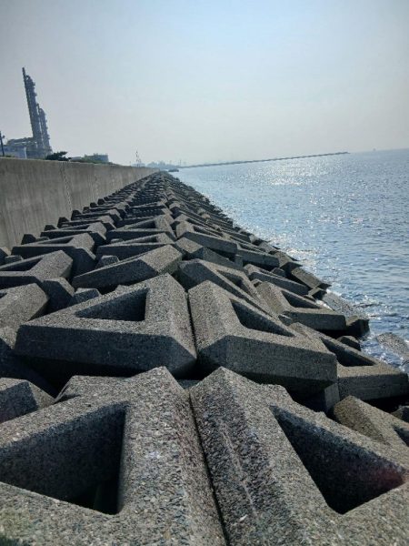 チャリコ爆湧き釣りにならず!!