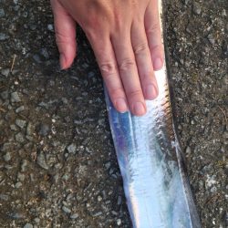 久しぶりの釣果！