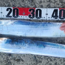 F4ほぼ確イベント中