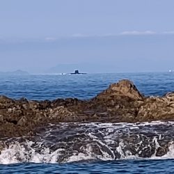 久々にロックショア