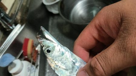 初タッチーget 指二本