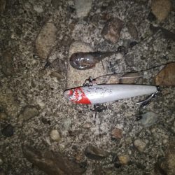 良くない状況の中…