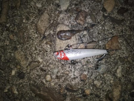 良くない状況の中…