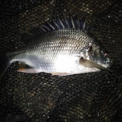 雨が欲しい所…