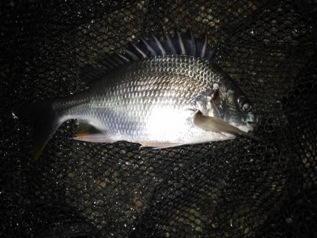 雨が欲しい所…