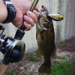水面〜ボトムまで