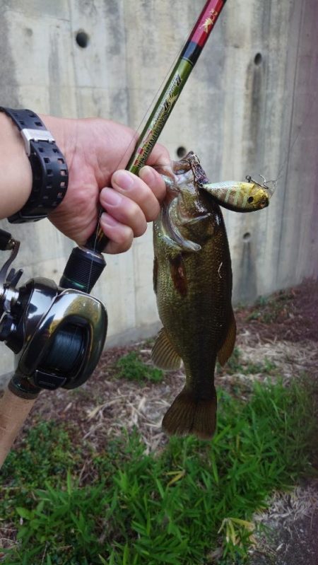 水面〜ボトムまで