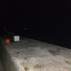 ショアジギング