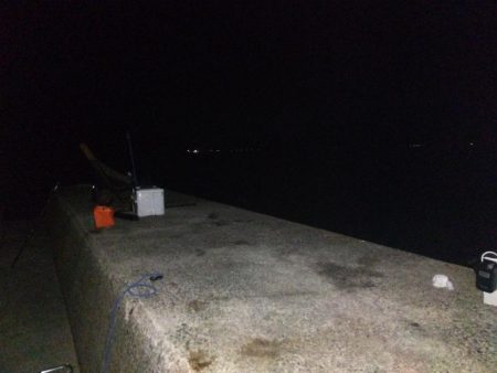 ショアジギング