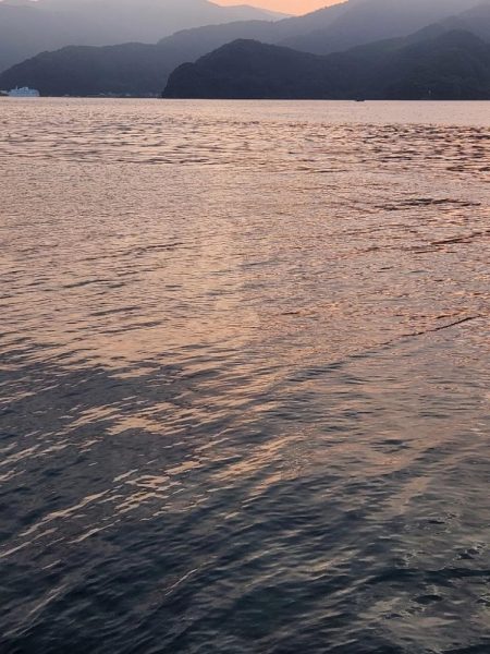 久しぶりのヤーツ