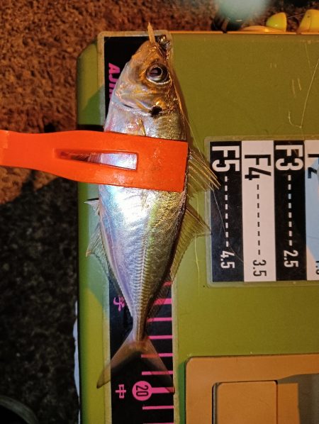 アジング18オクト2