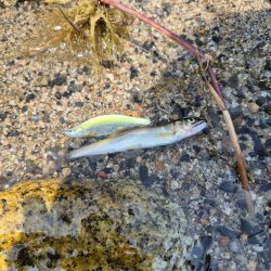 用事済ませて昼前に到着