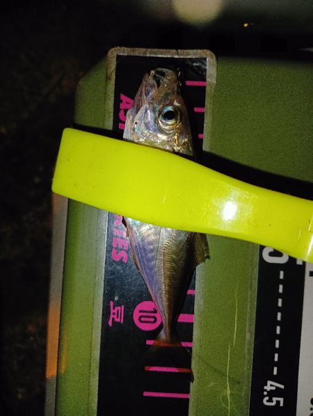 アジング22オクト3