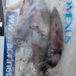 釣果以上の出会いに感謝