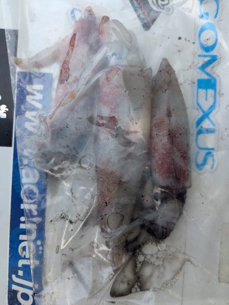 釣果以上の出会いに感謝