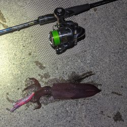 数出るようになってきた