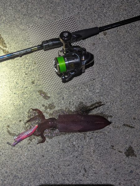 数出るようになってきた