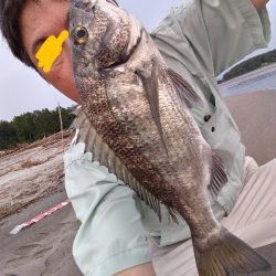 短時間釣行で釣れました!