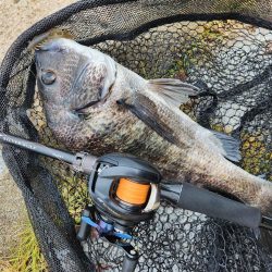 雨の中チニング