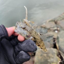 しごおわチニング