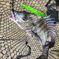 広島河川クロスウェイクチニング