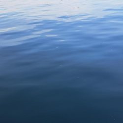 悪戦苦闘の飛ばしサビキ