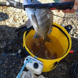 10目まであと1匹足らず…