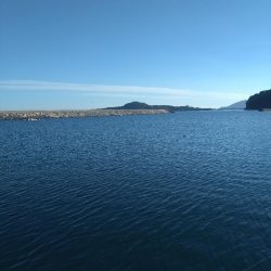 キス、キス、オバケ、キス、キス