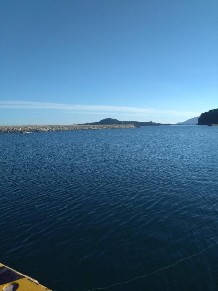 キス、キス、オバケ、キス、キス