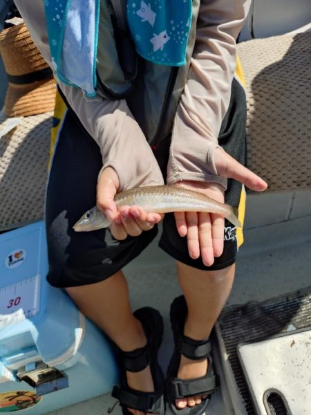 真夏のファミリー船キス