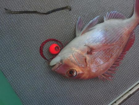 真夏のタイラバ