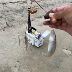 唐津のサーフで釣ってみました