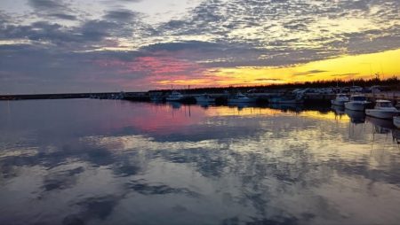 今年初シーバス