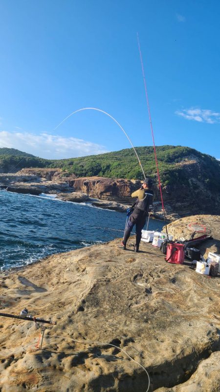 和歌山市江（吉丸渡船）でグレ釣り