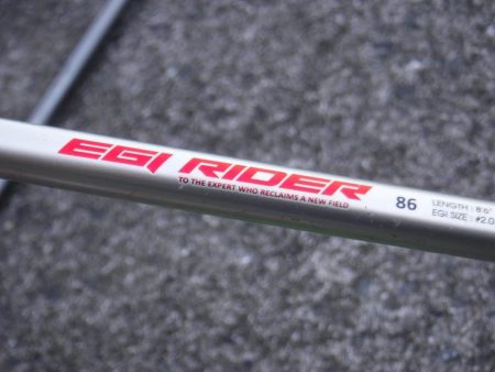 久しぶりに釣れました