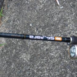 先週に続いてカツオが釣れました