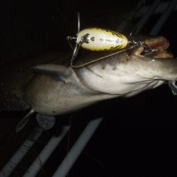 久々に奈良まで