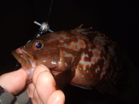 ぼちぼち厳しい