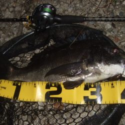 ハードルアーメインでチニング