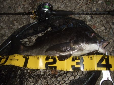 ハードルアーメインでチニング