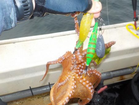 タコ第３戦〜盛和丸〜