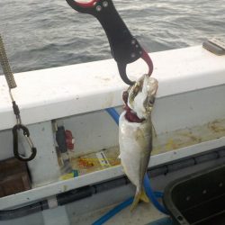 落とし込みリベンジマッチ　五目達成　きしゅう丸